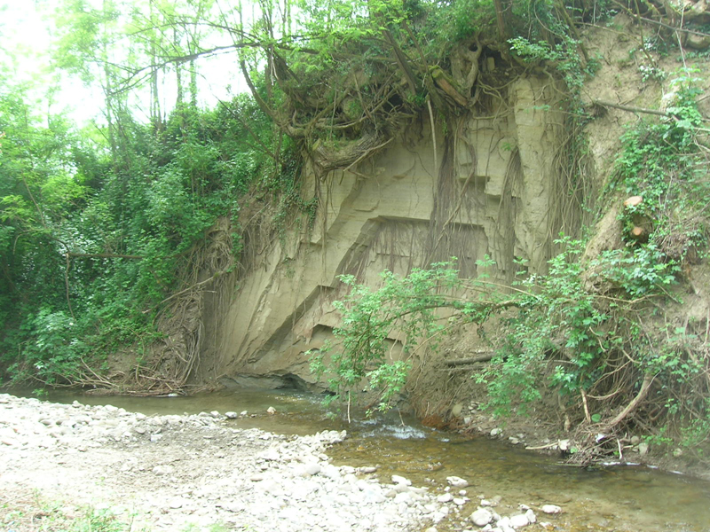 Erosione in sponda coesiva 