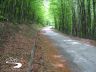 La strada dal Passo Calla verso Passo Piancancelli 