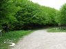 Fine strada carrabile - Inizio forestale per Fonte del Borbotto