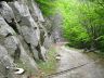 Strada Forestale verso Fonte del Borbotto