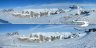 Panorami sul Gruppo Sella dal Sass Pordoi 2950m 