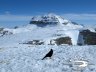 Pordoi - Gracco al cospetto del Piz Boè